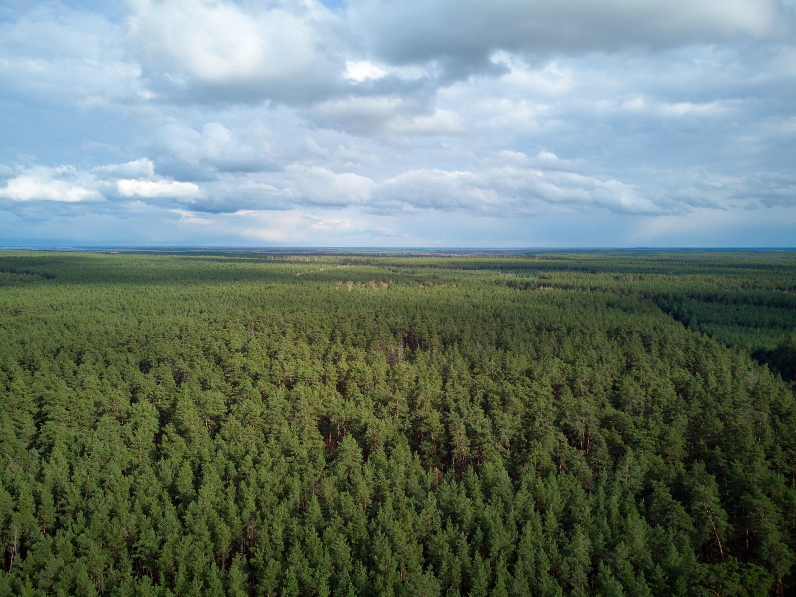 Taiga Biome Our Biomes The Boreal Forest And Deciduous Forest Taiga Biome Our Biomes The Boreal Forest And Deciduous Forest